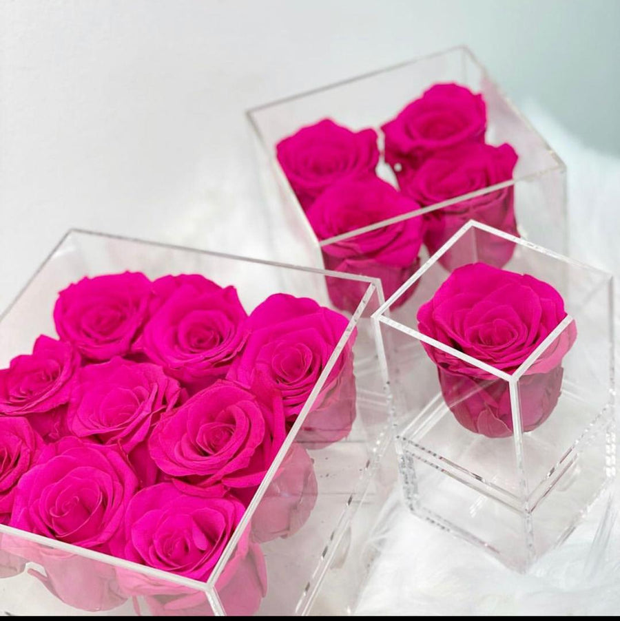 Infinity Forever Bubble Gum Pink Roses Box Of 4