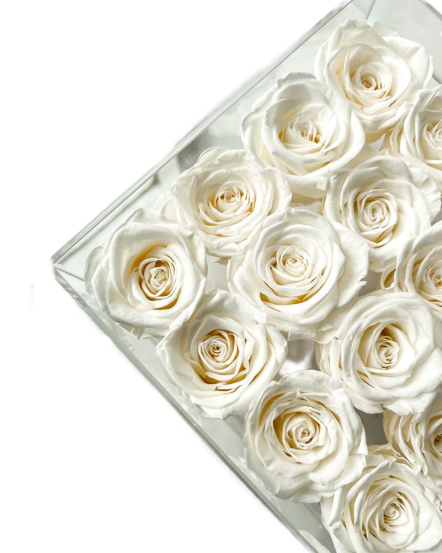 Infinity Forever White Roses Box Of 9
